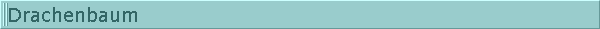  Drachenbaum 